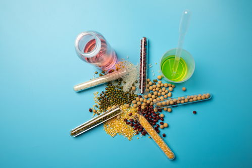 五谷食品安全農(nóng)業(yè)科技食品培育攝影圖 插畫 下載至來源處