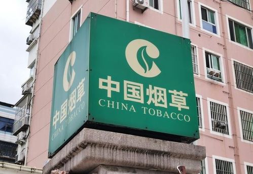 新疆煙草局校招開啟 擴招名額，高中起點，專業不限，軟件開發崗位吸引貴州學子